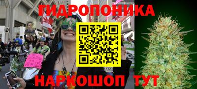 a pvp Балахна