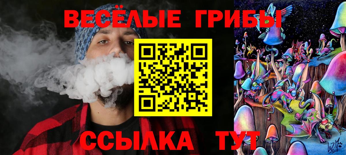 Галлюциногенные грибы MAGIC MUSHROOMS  Вход с VPN  Десногорск 